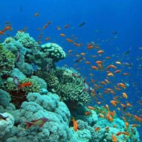 Lan Ngam San Ho Phu Quoc