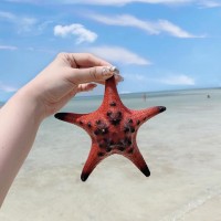 Rạch Vẹm Phú Quốc7