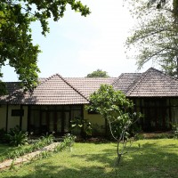Arcadia Resort Phú Quốc8