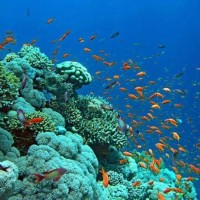 Lan Ngam San Ho Phu Quoc